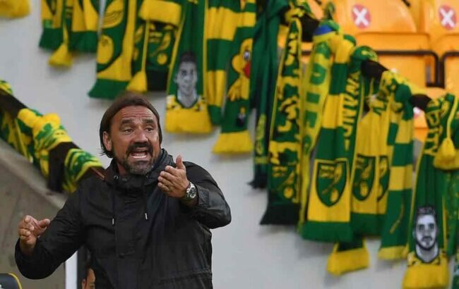 Daniel Farke Norwich Scarves